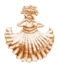 St James was a fisherman - this is his ancient scallop shell